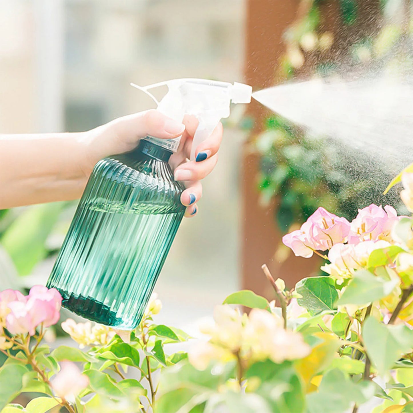 Spray Bottle