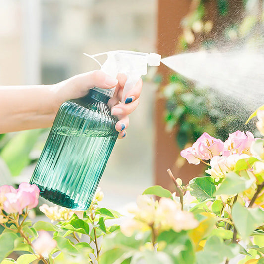 Spray Bottle
