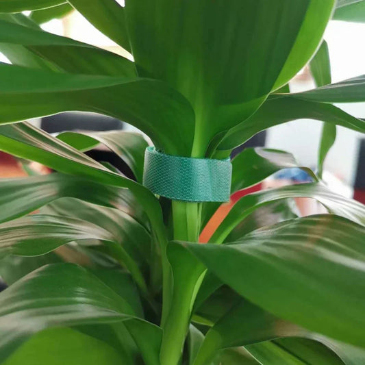 Plant Ties