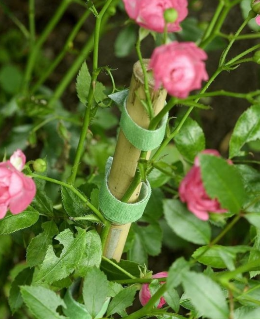 Plant Ties